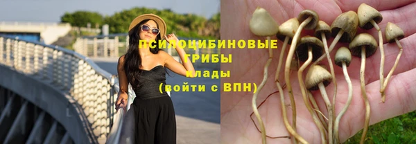 гашик Алзамай