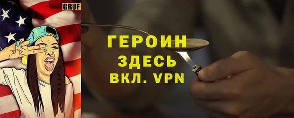 индика Ельня