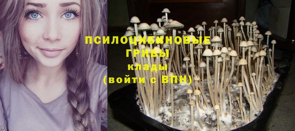 не бодяженный Алексин