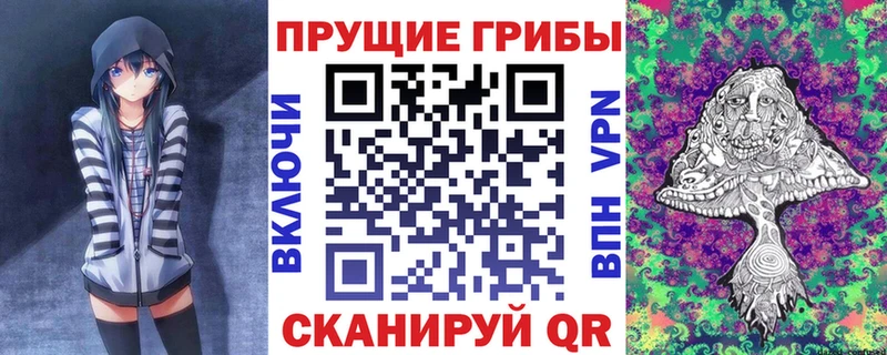 Псилоцибиновые грибы Psilocybe  Омутнинск 